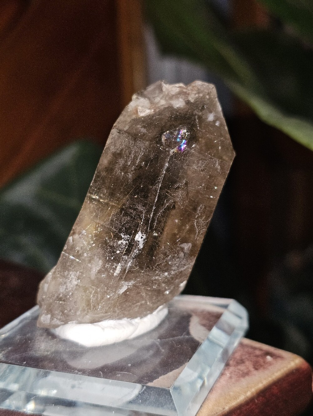 Rutilated Quartz - Picture 6 of 6